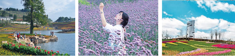 DG视讯·(中国区)官方网站