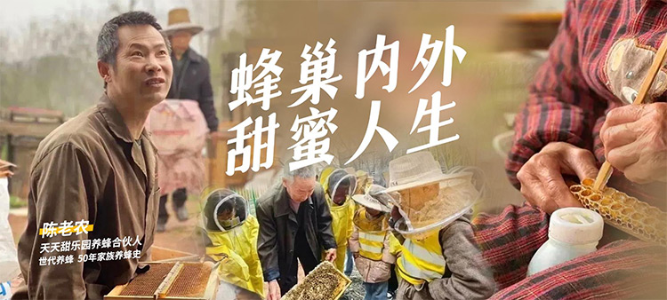 DG视讯·(中国区)官方网站