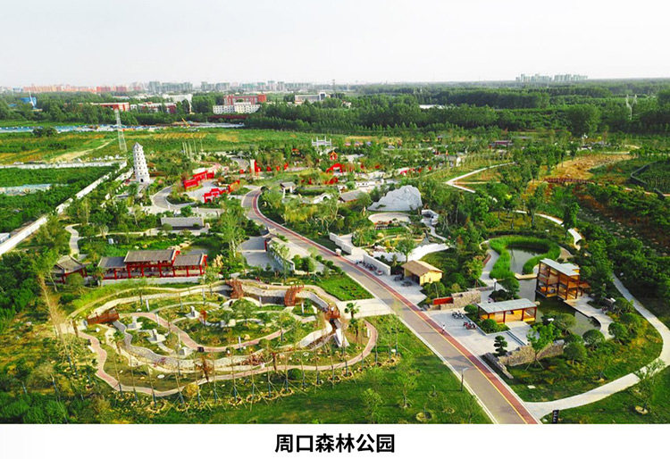 DG视讯·(中国区)官方网站