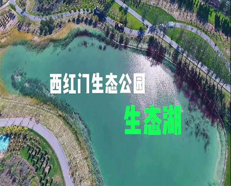 DG视讯·(中国区)官方网站