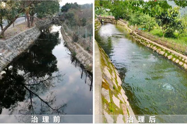 DG视讯·(中国区)官方网站