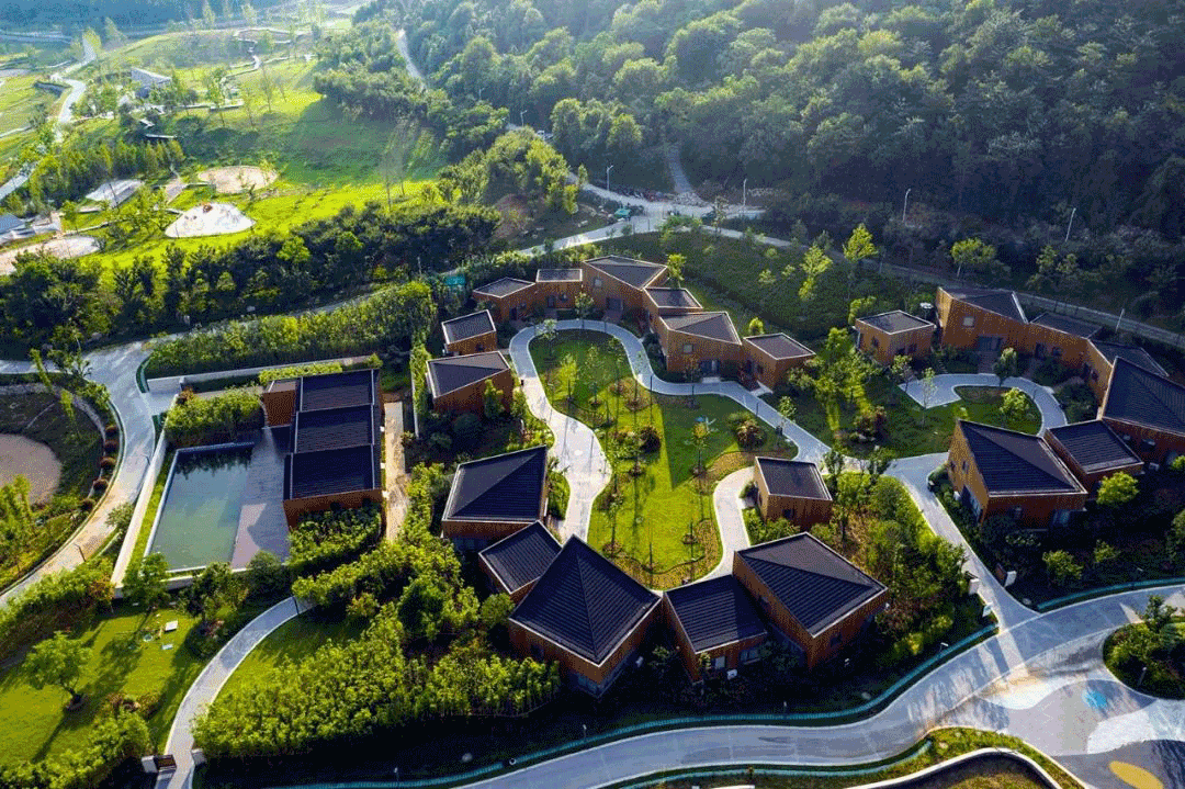 DG视讯·(中国区)官方网站