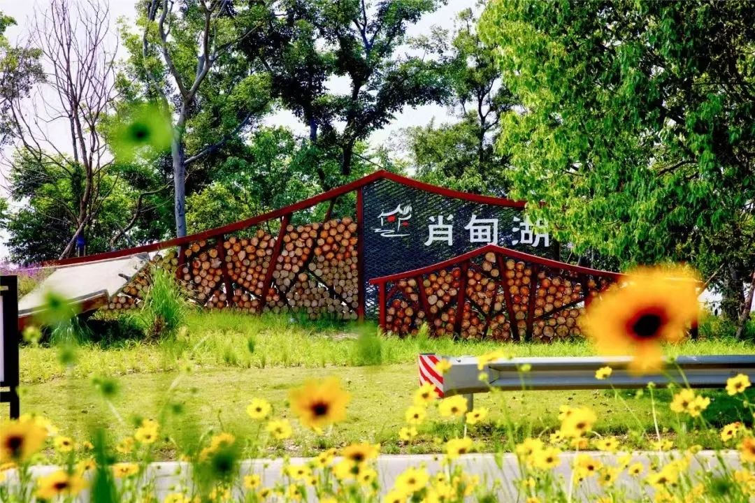 DG视讯·(中国区)官方网站