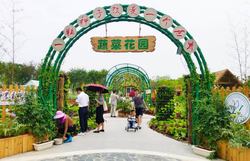 DG视讯·(中国区)官方网站