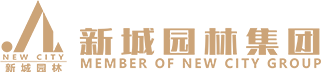 DG视讯